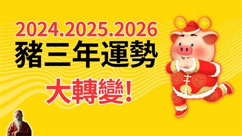 豬年運程|2024 肖豬流年運程 